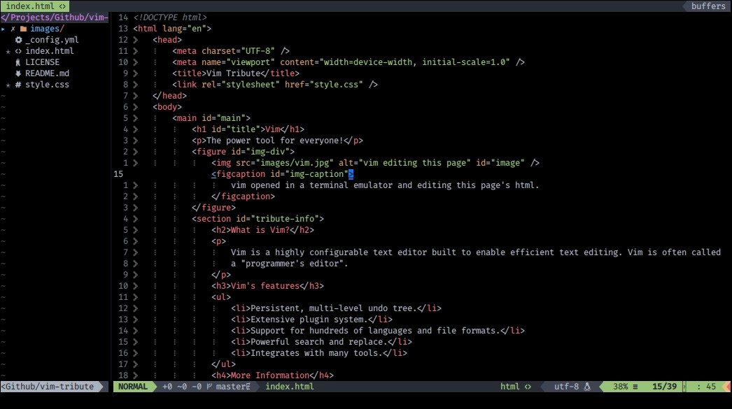 vim editing this page